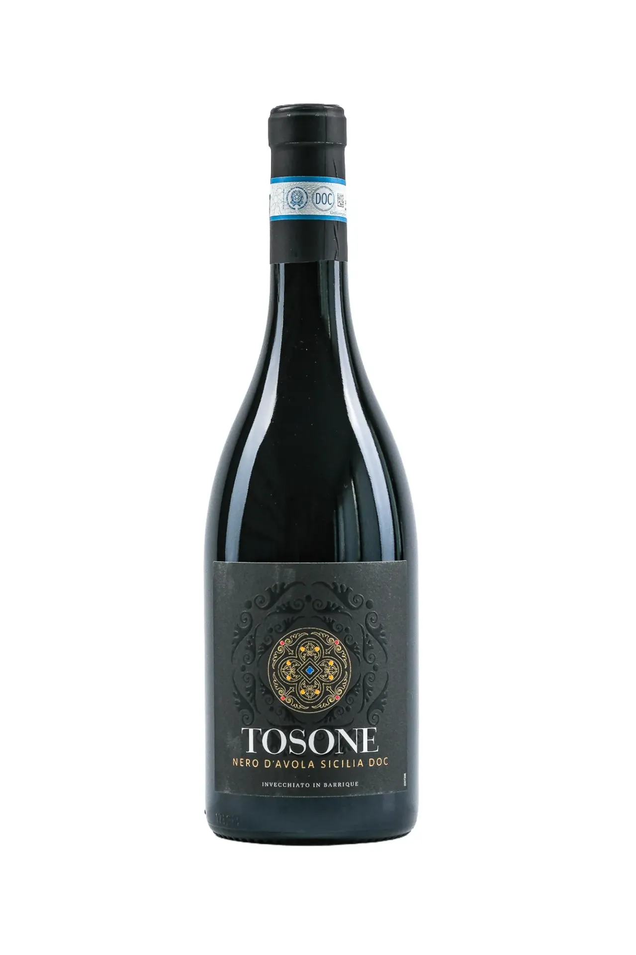 [BA13002-24] Tosone 2024