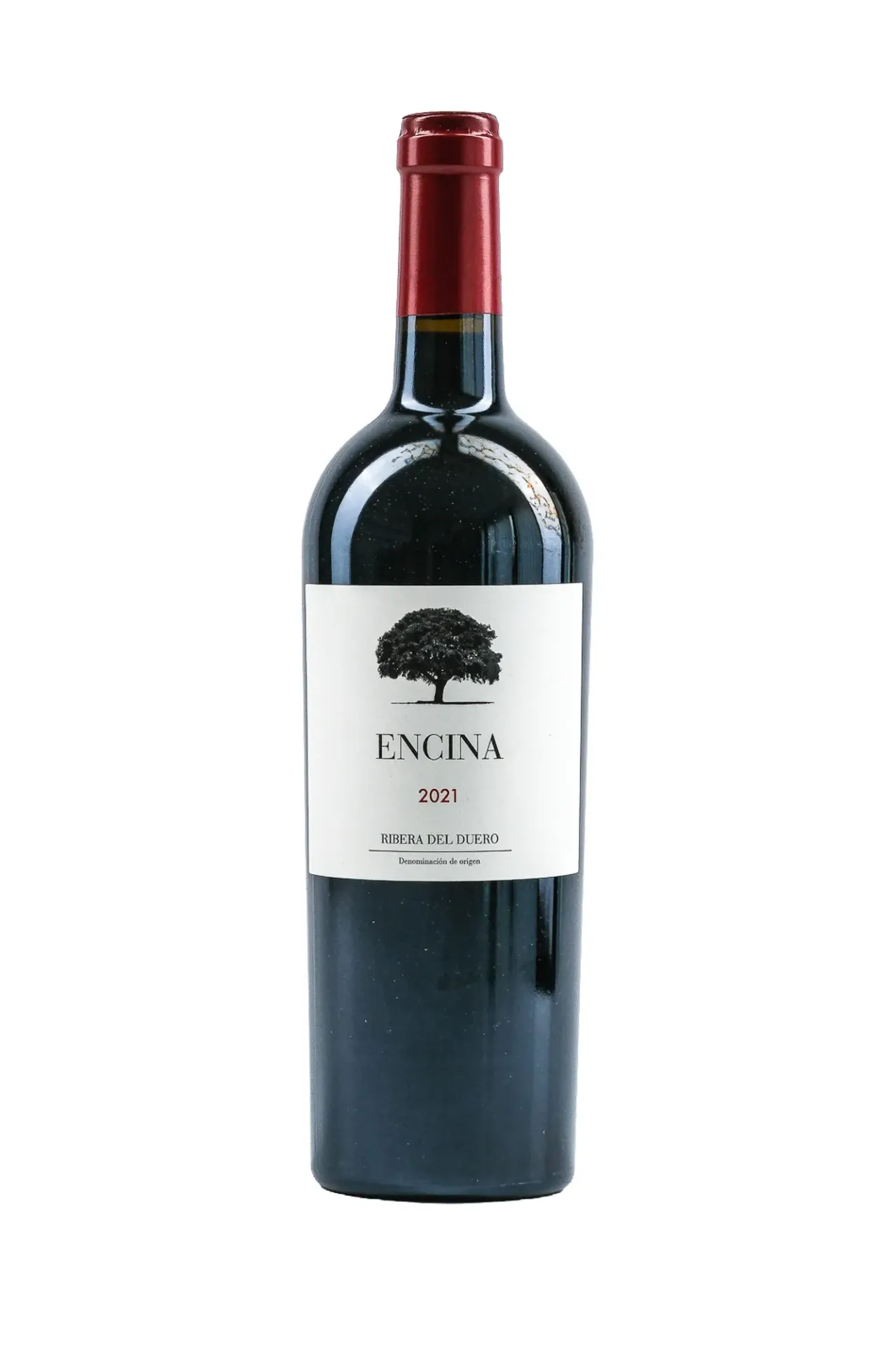 Encina 2021
